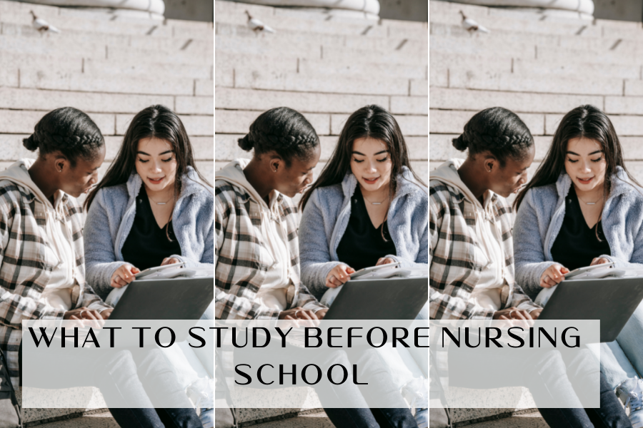 WHAT TO STUDY BEFORE NURSING SCHOOL