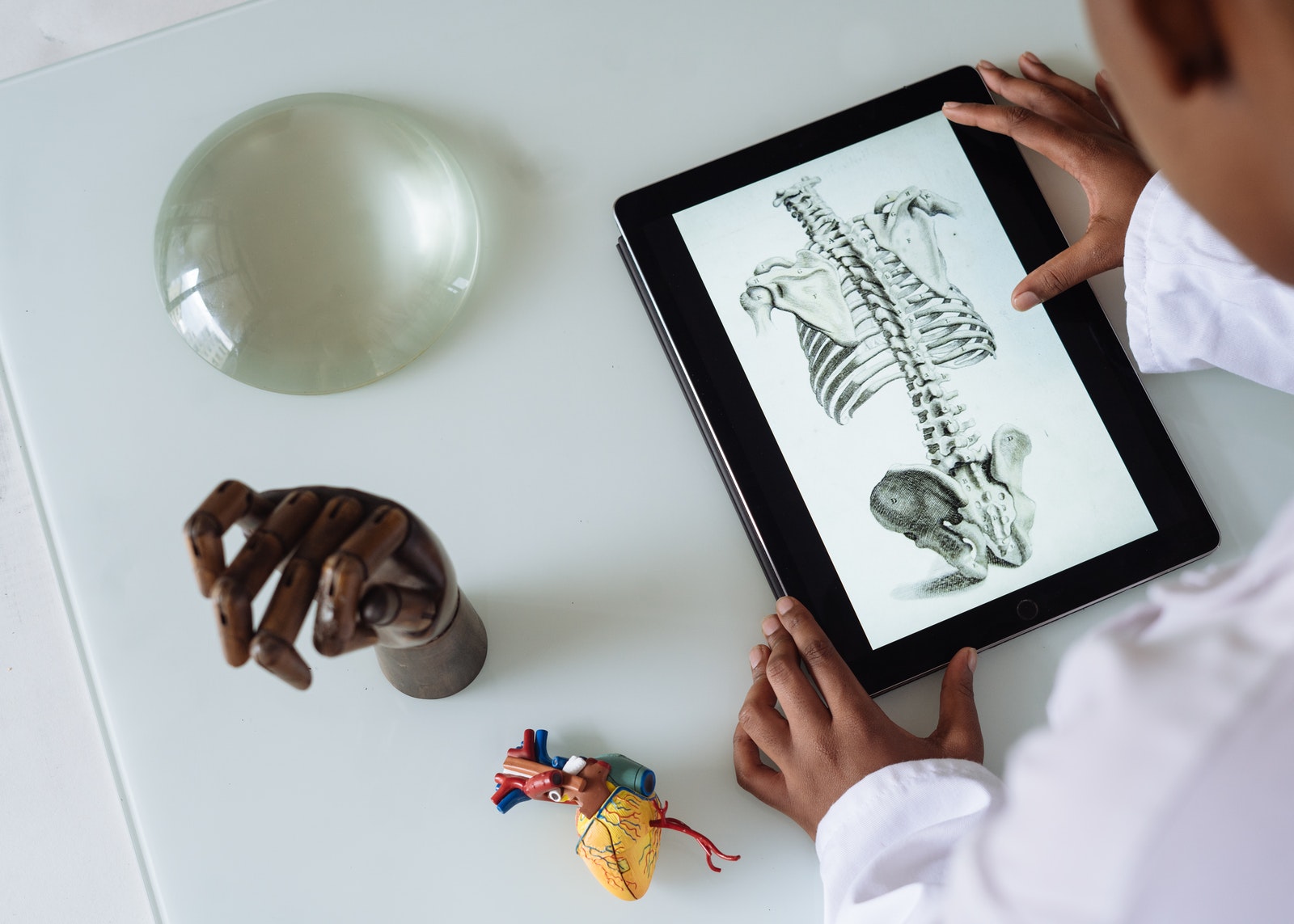 A tablet on a table with anatomy subject opened