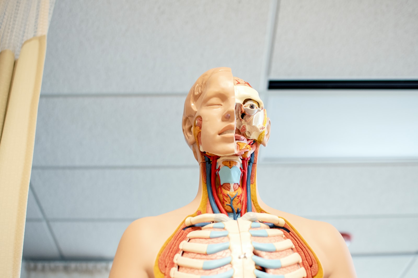 Is anatomy and physiology hard? Can You Fail NCLEX with 75 Questions?