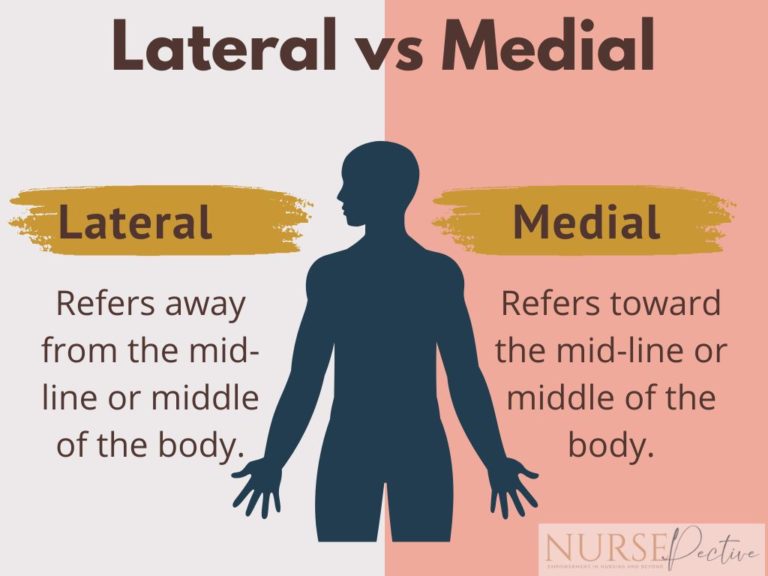 Lateral Anatomy Definition With Tips And Tricks To Remember It Nursepective 0347