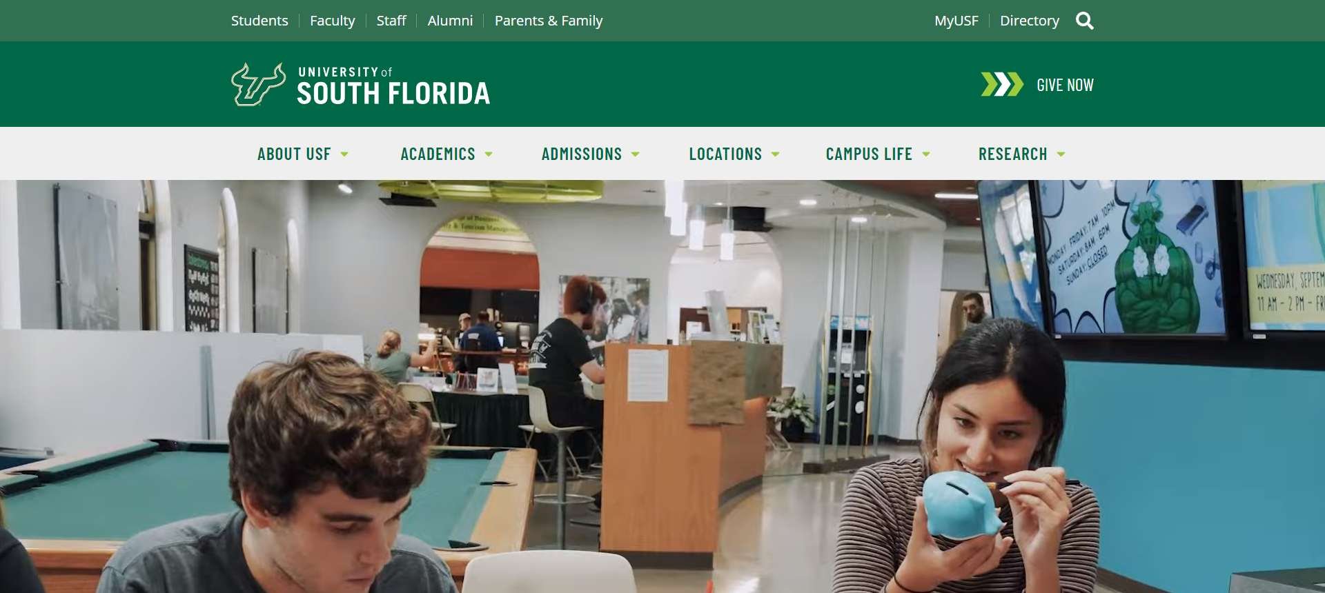 University of South Florida - Tampa