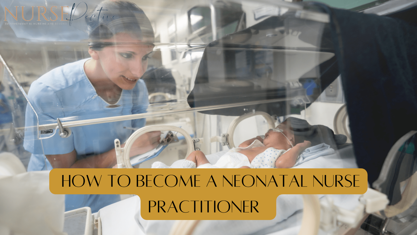 How to Become a Neonatal Nurse Practitioner?
